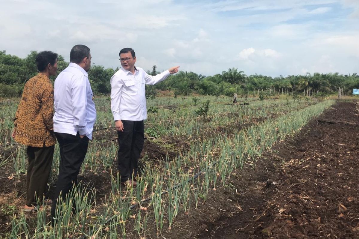 BRG: Pengembangan komoditi ramah gambut 100 persen tekan karhutla