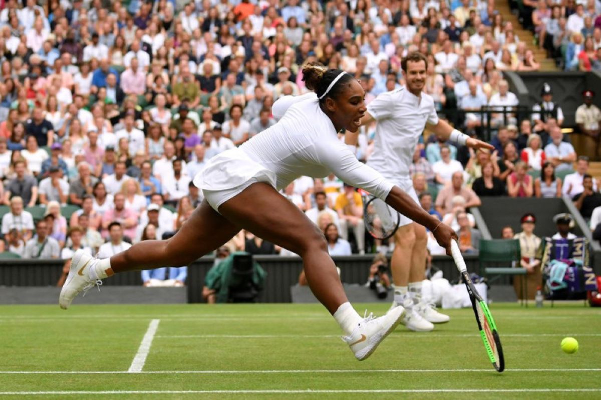 Murray dan Williams terhenti pada babak ketiga Wimbledon