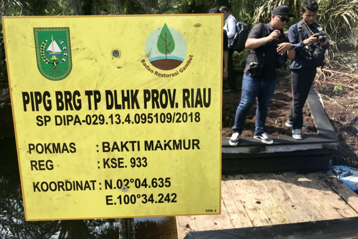 BRG segera tambah infrastruktur pembasahan gambut di Riau