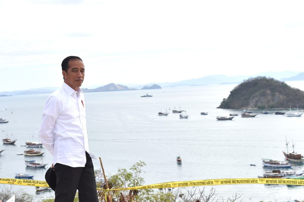 Jokowi ingin jumlah wisatawan ke pulau Komodo dibatasi