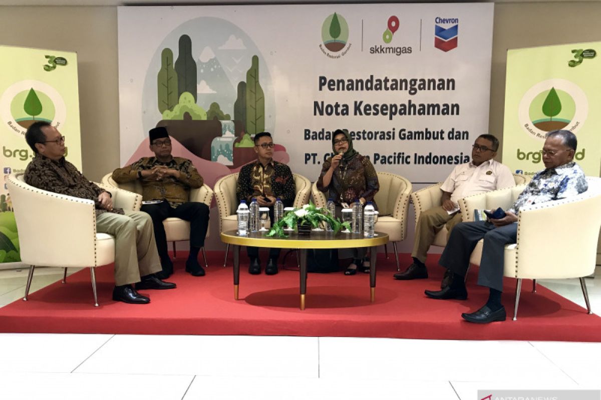 BRG-Chevron akan lakukan restorasi gambut di 21 desa di Riau
