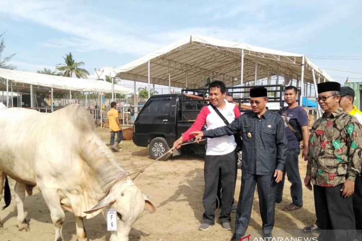 Wabup Abdya sambut peserta Expo Ternak dari 23 kabupaten/kota