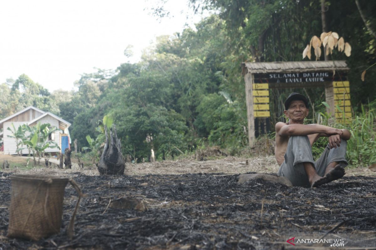 Video - Melihat indahnya Danau Canting di Kabupaten HST