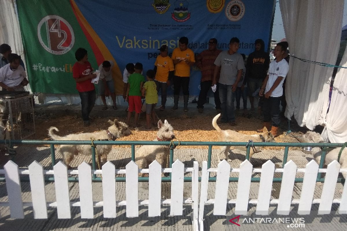 Kabupaten Garut jadi daerah pemasok anjing terbesar ke Sumatera