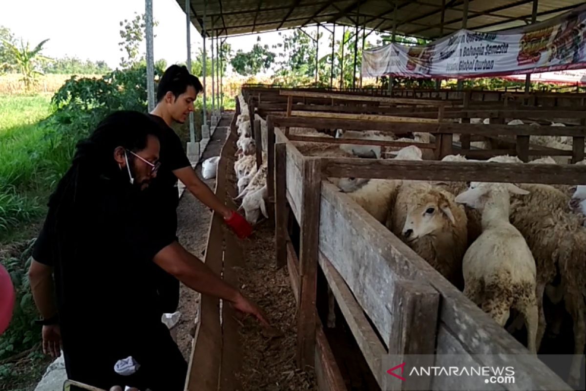 Sejumlah artis ikut ramaikan peresmian Global Qurban di Blora