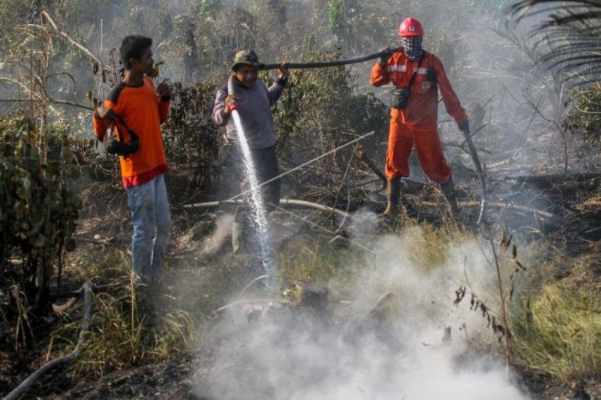 Sinergi atasi kebakaran hutan