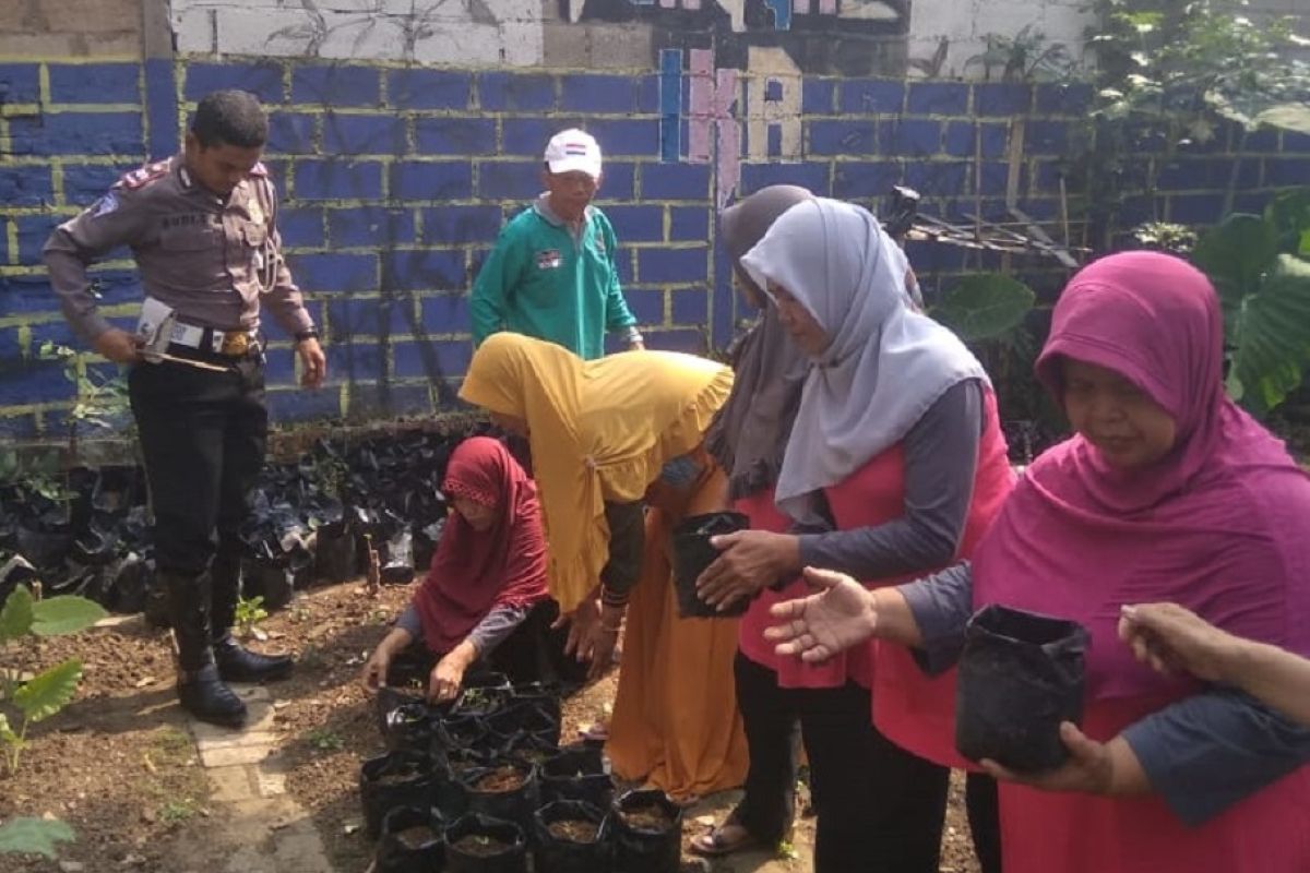 Warga Tangerang tanam 1.000 benih cabe antisipasi kenaikan harga