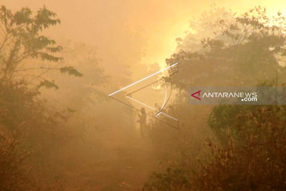 Kebakaran lahan di Aceh Barat makin meluas dan sulit diatasi