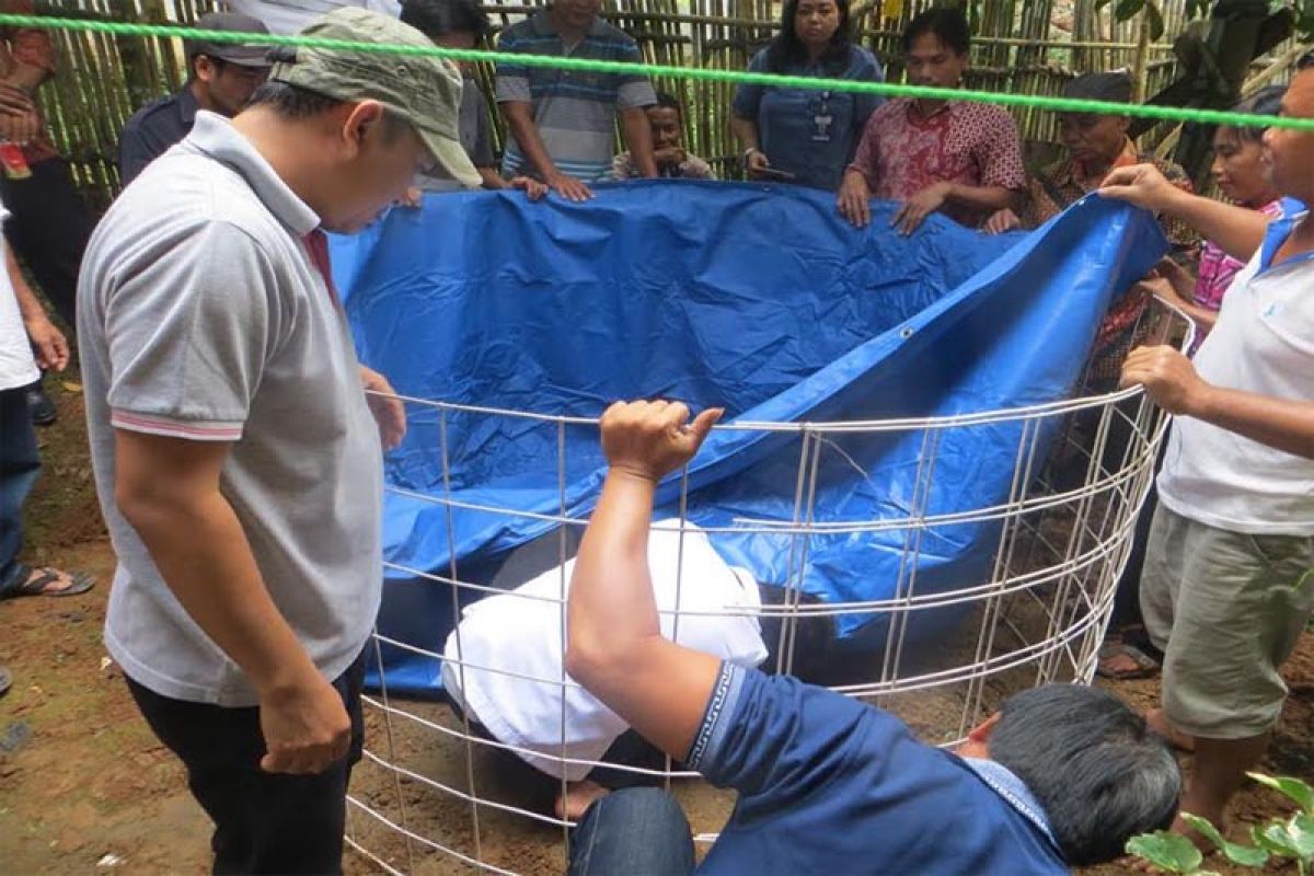 Memenuhi kebutuhan ikan secara mandiri jadi tantangan Kabupaten Gumas