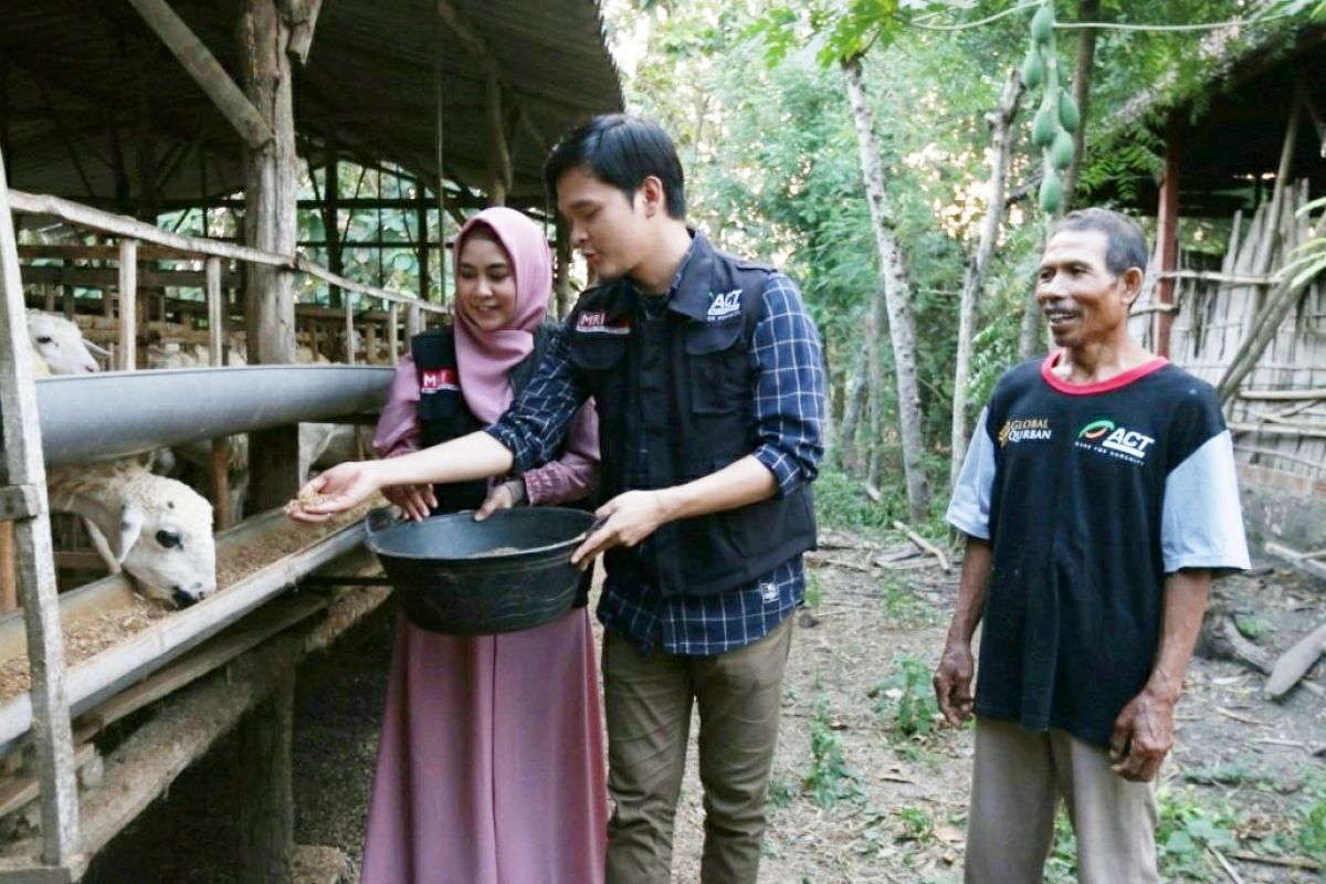 Cerita Anisa Rahma dan Dito urus kambing Global Qurban di LTW Blora