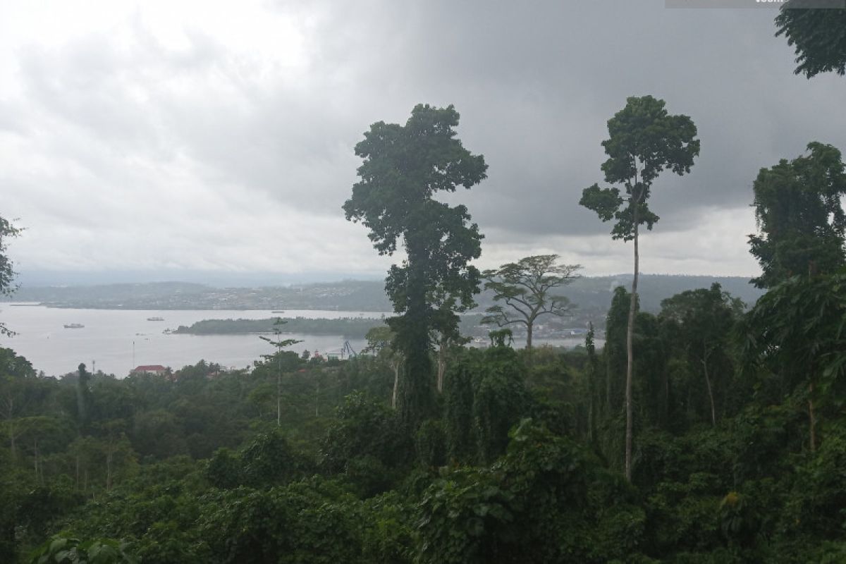 Seluruh wilayah di Papua Barat diperkirakan hujan Selasa-Rabu