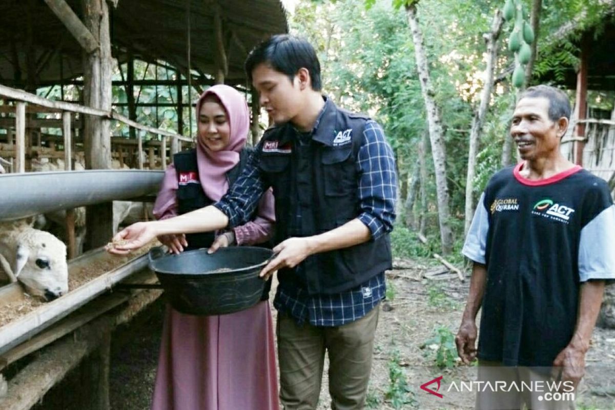 Cerita Anisa dan Dito ikut mengurus kambing Global Qurban