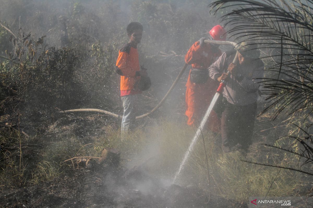 BMKG deteksi lonjakan hingga 35 titik panas di Riau