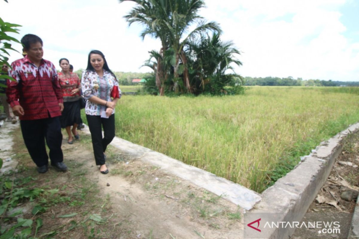 Kalbar dorong pemda maksimalkan potensi pertanian desa