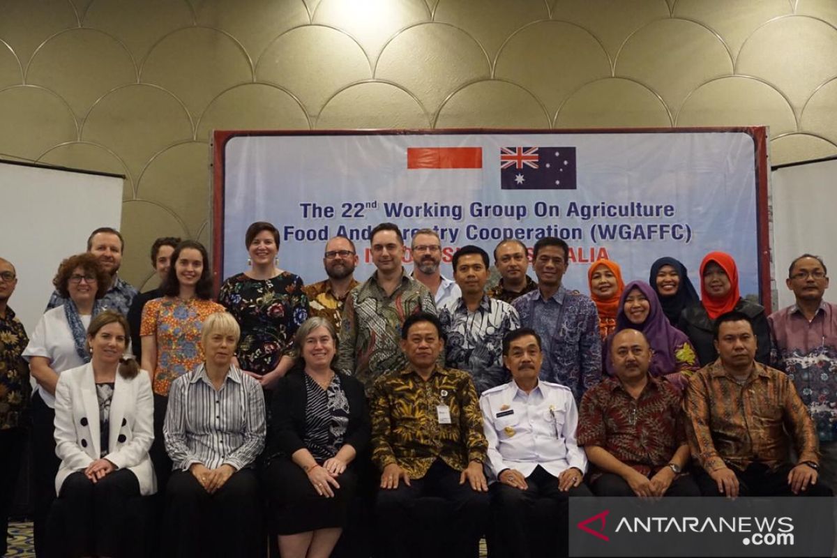 Indonesia perkuat akses pasar hortikultura ke Australia