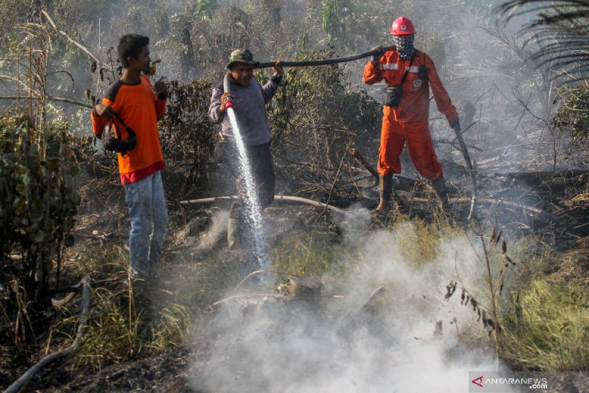 Manggala Agni berupaya padamkan kebakaran lahan gambut di Kampar