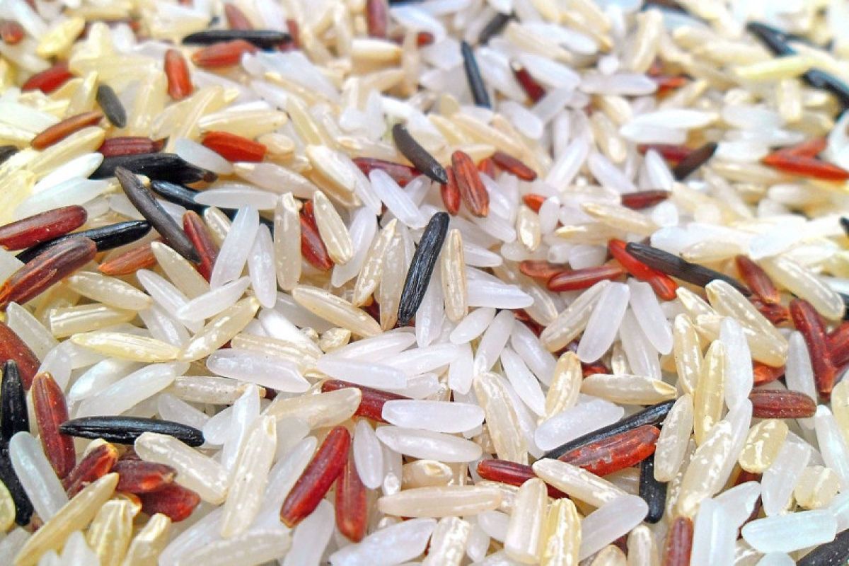 Musim kemarau bakal pengaruhi serapan beras