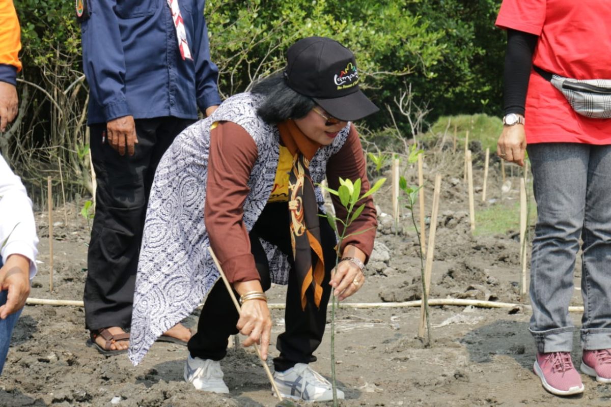 Persiapan Festival Krakatau 2019 di Pulau Sebesi