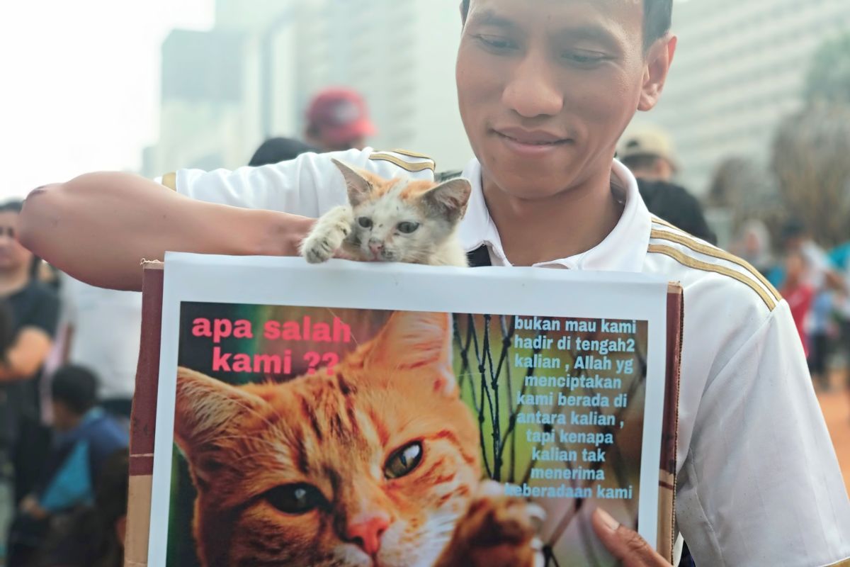 "KPK" ajak warga stop siksa kucing liar
