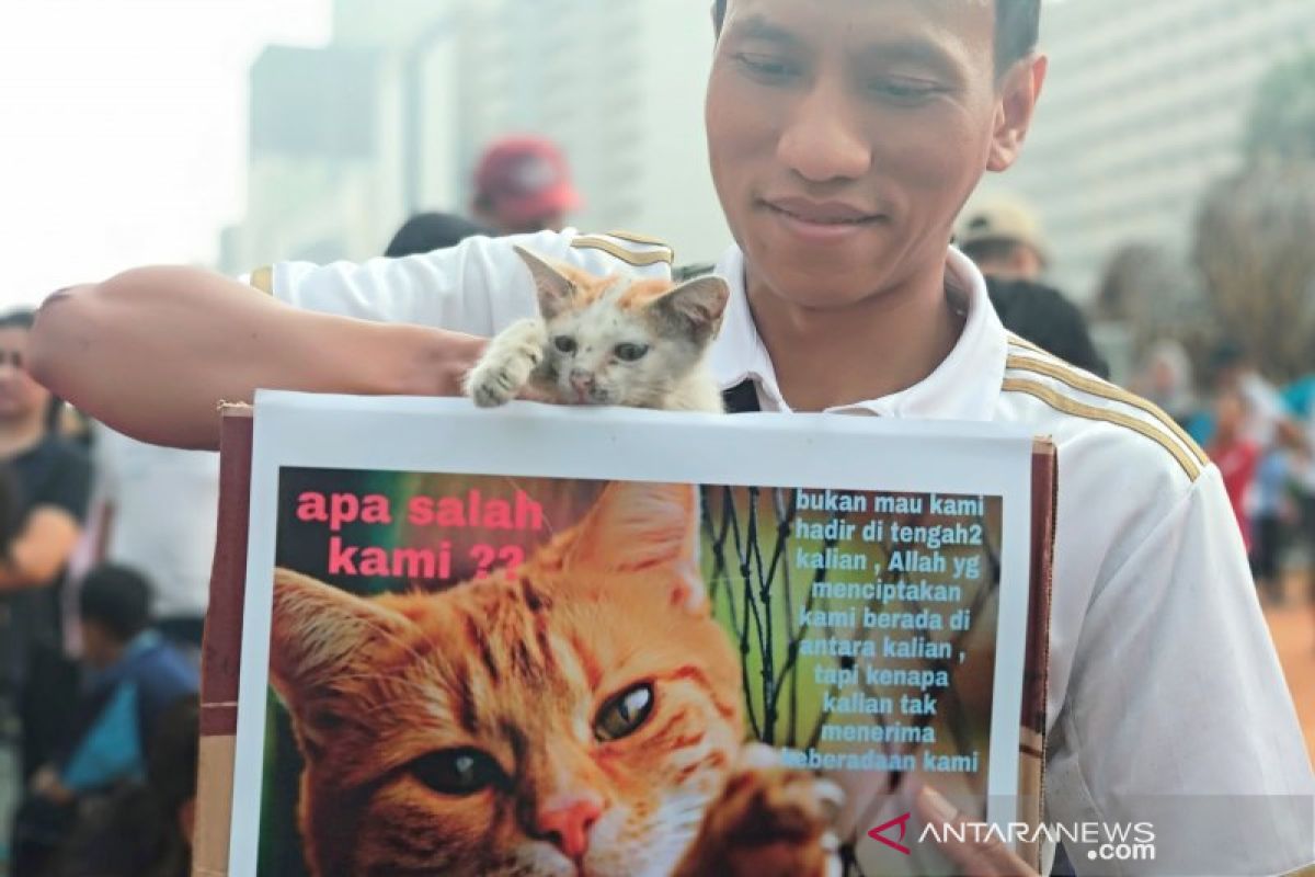 Komunitas pecinta hewan laporkan laki-laki makan kucing hidup-hidup ke polisi