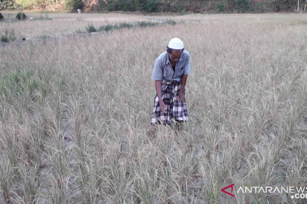 Distan Sukabumi pasang pompa air antisipasi kekeringan dan gagal panen