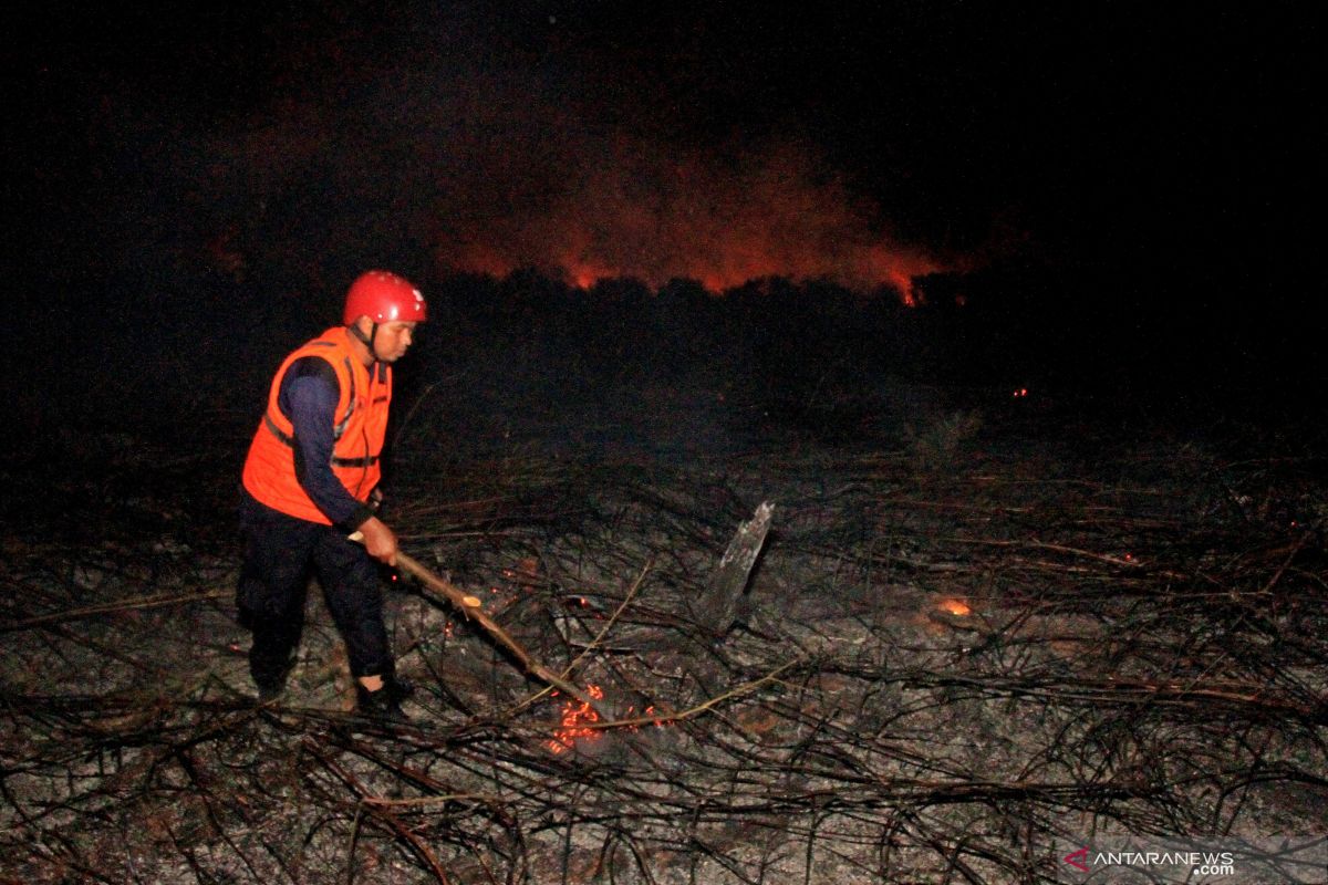 Pembakar lahan gambut ditangkap polisi