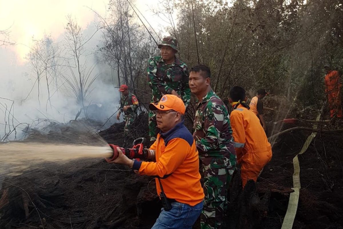 Seluas 20 hektare lahan di PALI, Sumsel terbakar