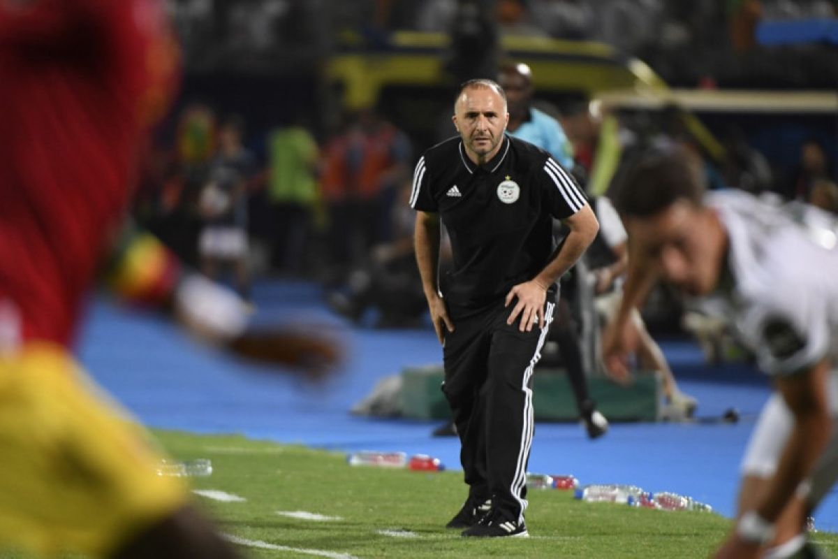 Djamel Belmadi ajak Afrika percayai pelatih lokal