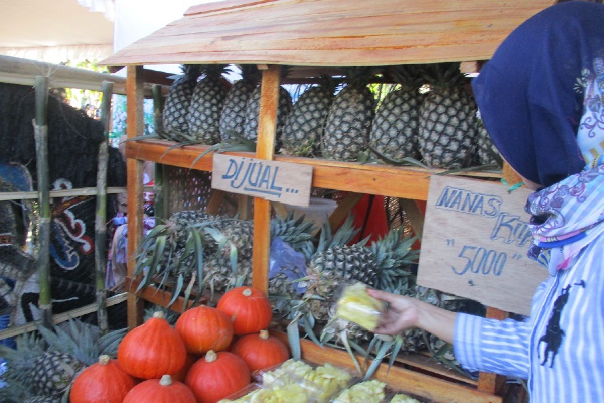 Petani nanas Kediri diuntungkan harga jual tinggi
