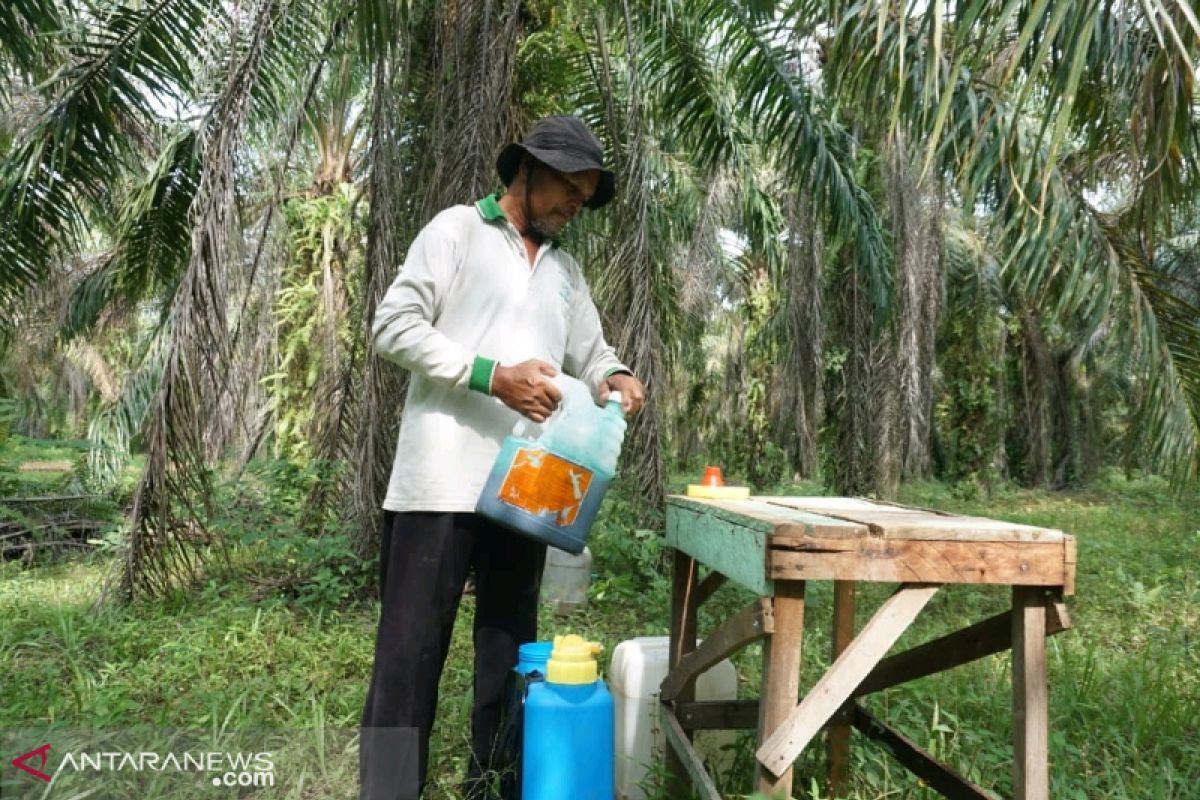 Petani Hutaraja Lamo apresiasi program TMMD