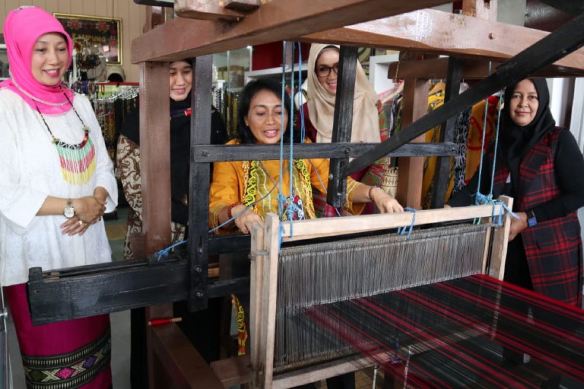 Kemenkop dan UKM-Dekranas latih 450 perajin tradisional Kaltim