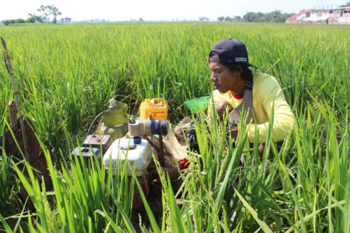 Pertamina imbau elpiji 3 kg tidak digunakan untuk pompa air