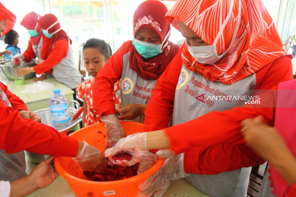 Unair bantu ibu-ibu di Banyuwangi olah limbah buah naga jadi dodol