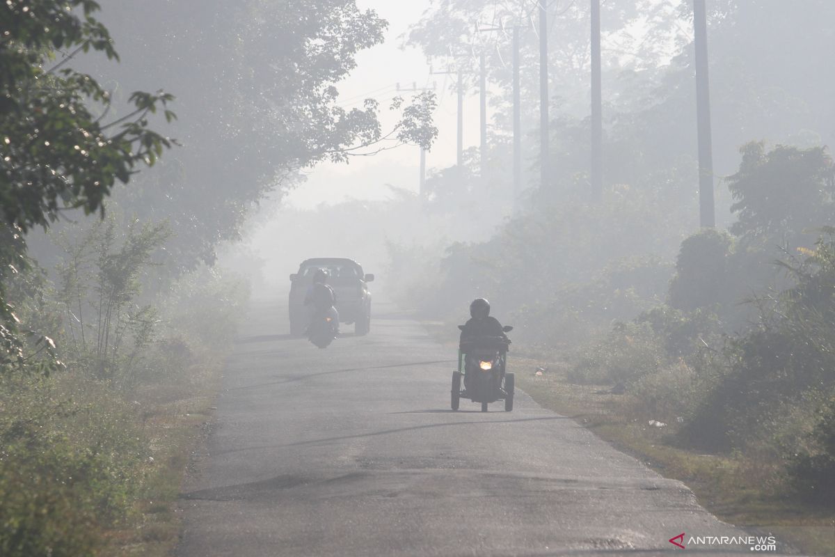 BNPB: Luas kebakaran hutan dan lahan di Indonesia capai 30.477 hektare