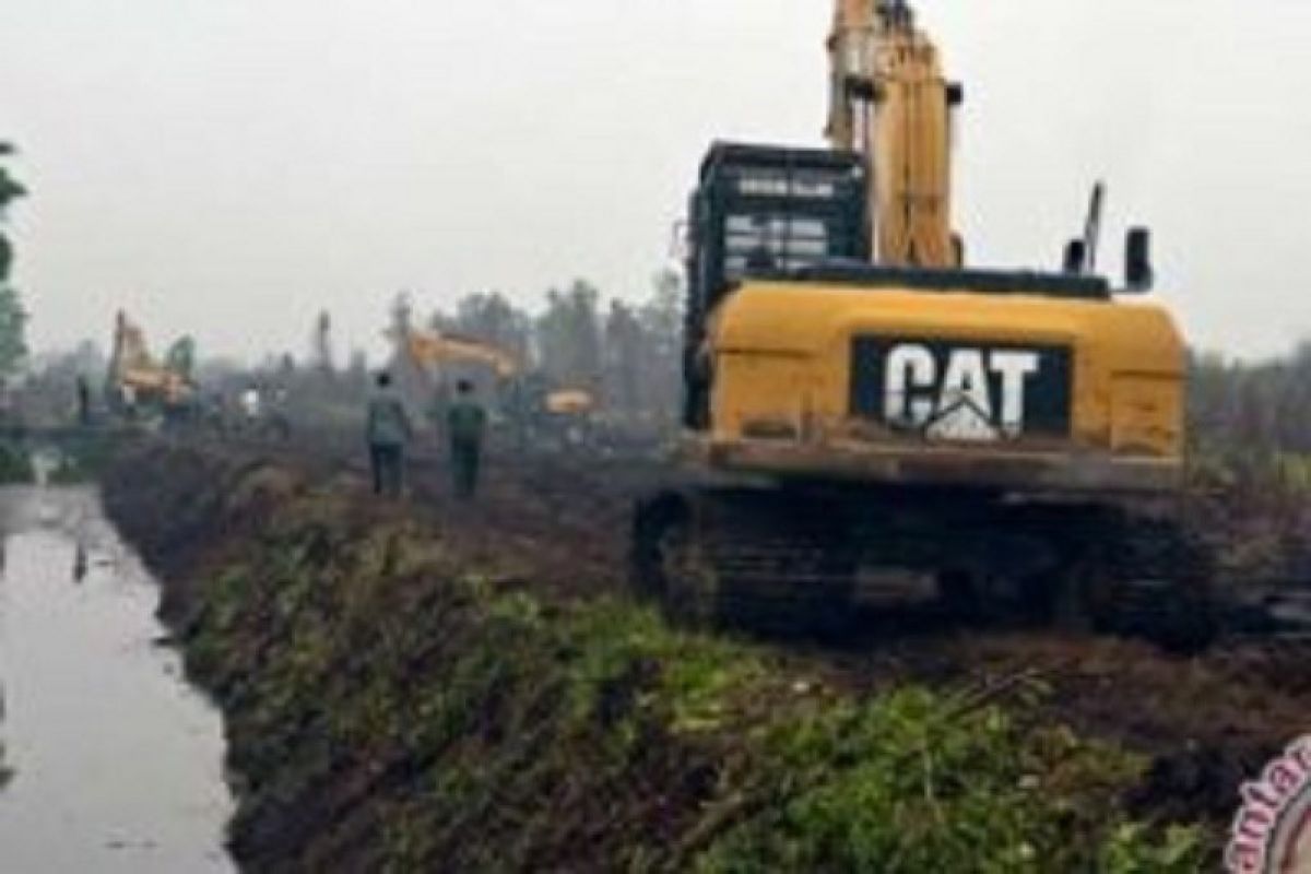 Riau bangun embung atasi ketersediaan air di sawah