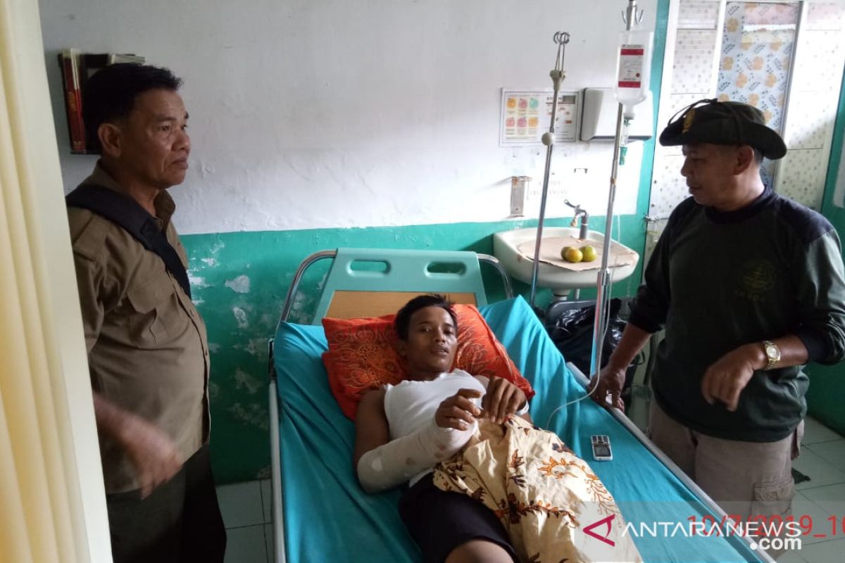 Korban serangan beruang dirujuk ke RS di Pekanbaru
