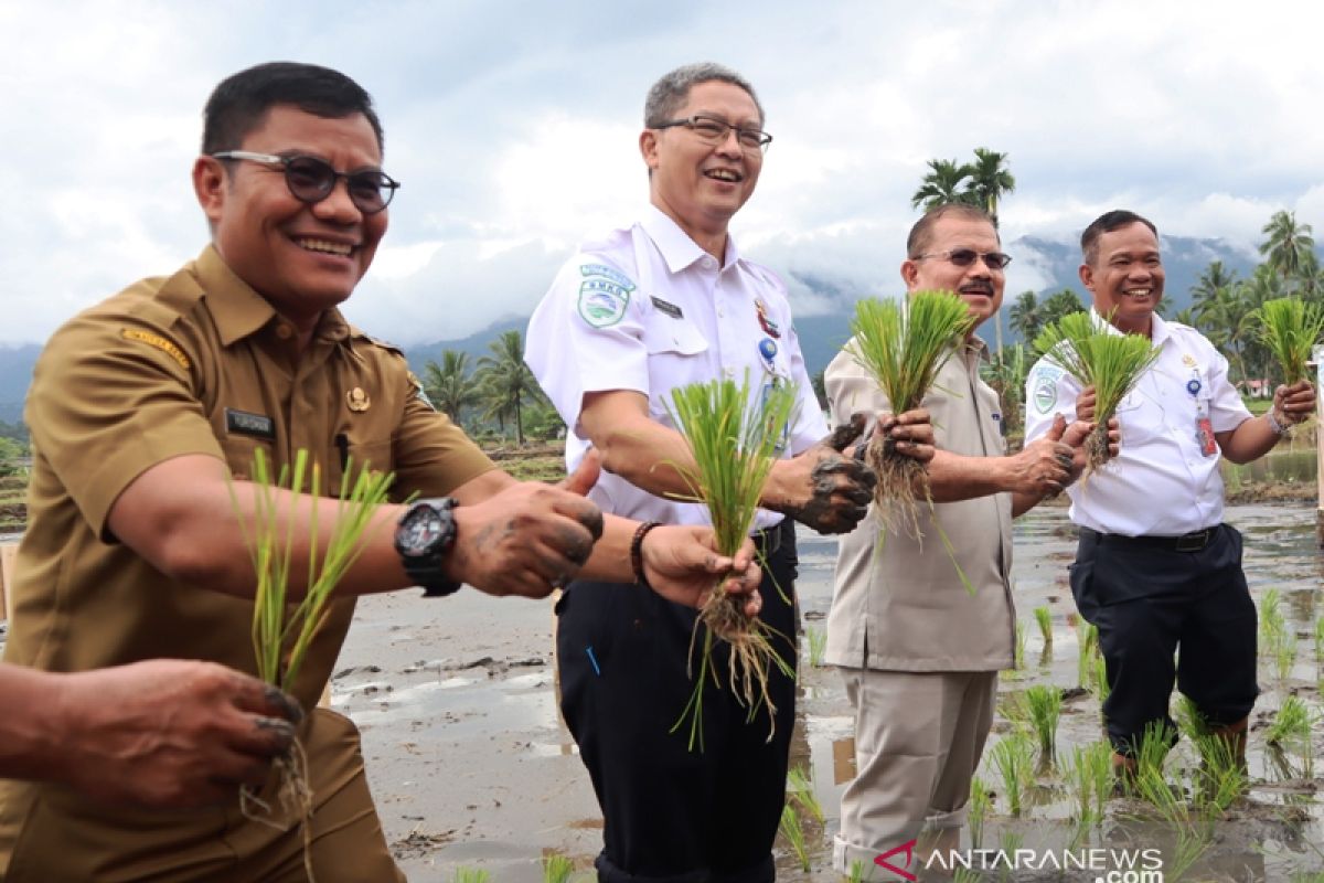 Padang Pariaman potensial jadi sumber pangan nasional