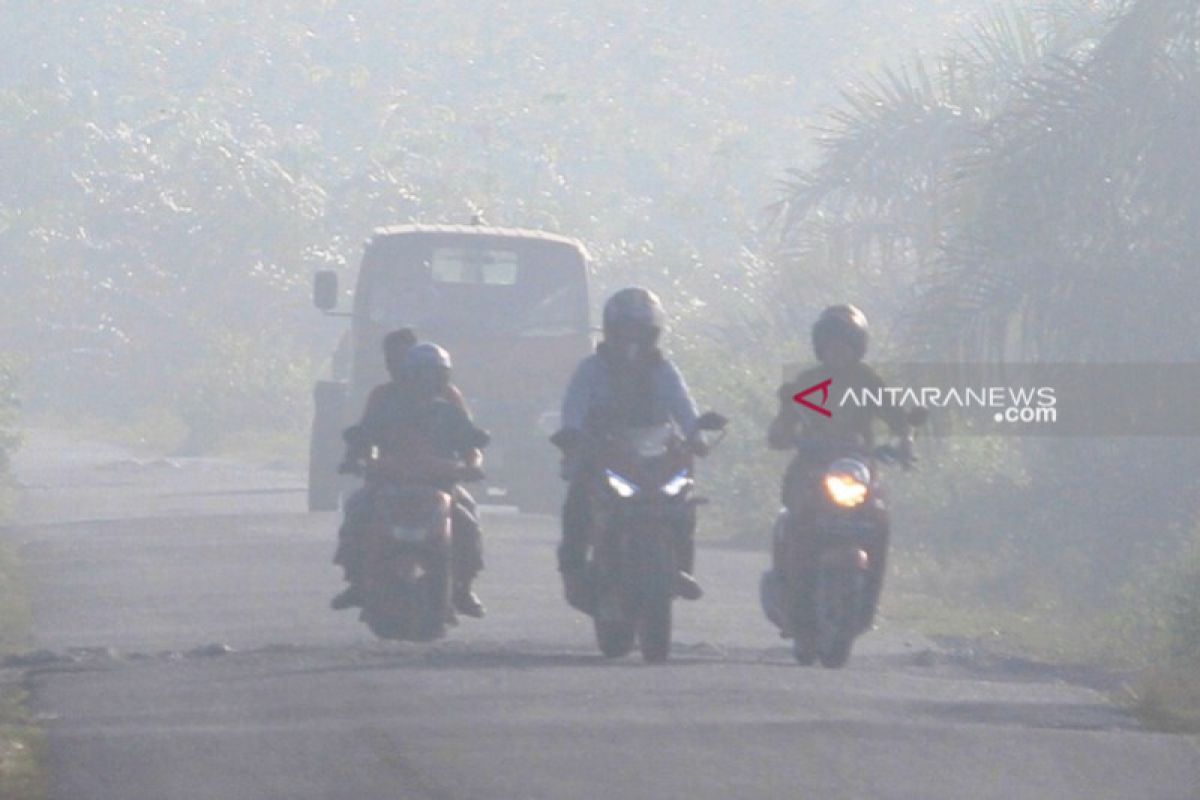 BPBA: 255 hektar hutan dan lahan di Aceh terbakar