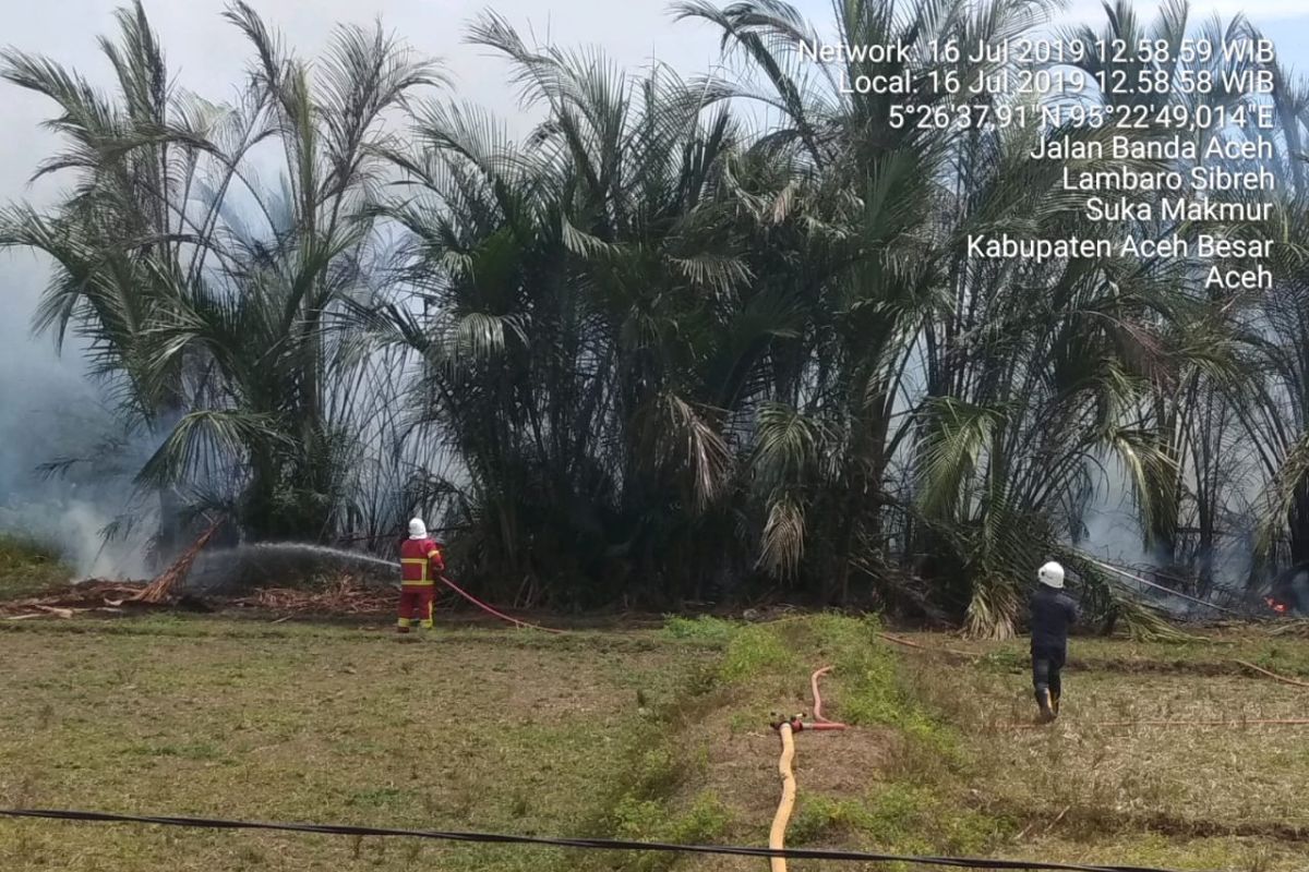 BPBD Aceh Besar kerahkan mobil pemadam kebakaran di lahan  rumbia
