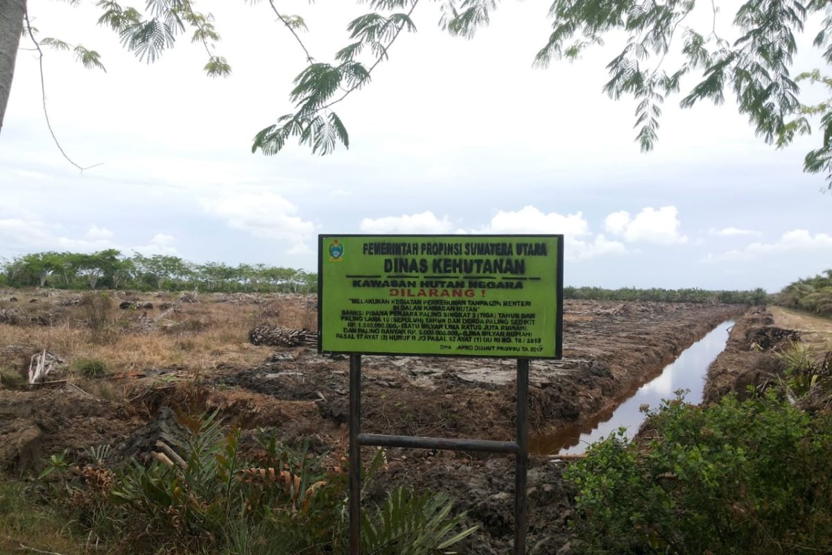 Mangrove Langkat dapat mendukung devisa