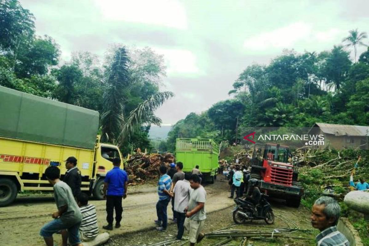 BPBD: Kemacetan panjang kendaraan akibat pohon tumbang terurai