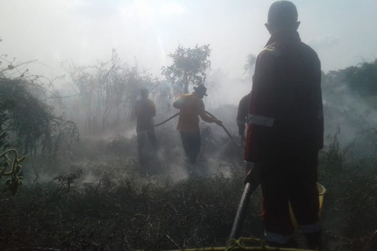 Kebakaran lahan kembali terjadi di Kabupaten Ogan Ilir