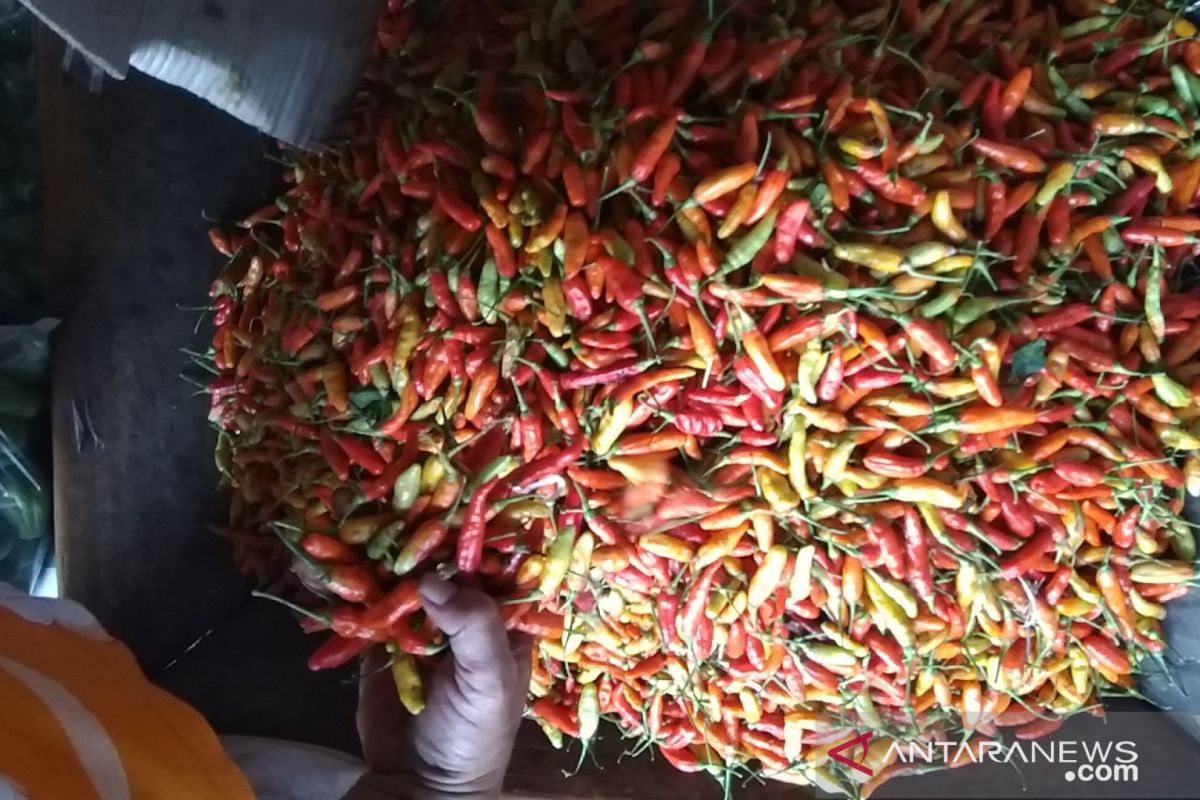 Kenaikan harga cabai masih mendominasi di Pasar Induk Kramat Jati