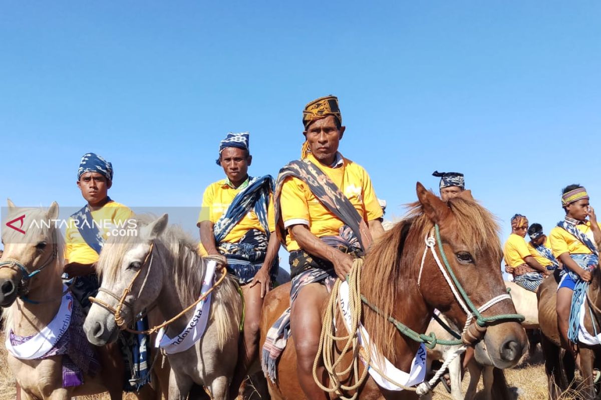 Parade kuda sandelwood untungkan Sumba Timur