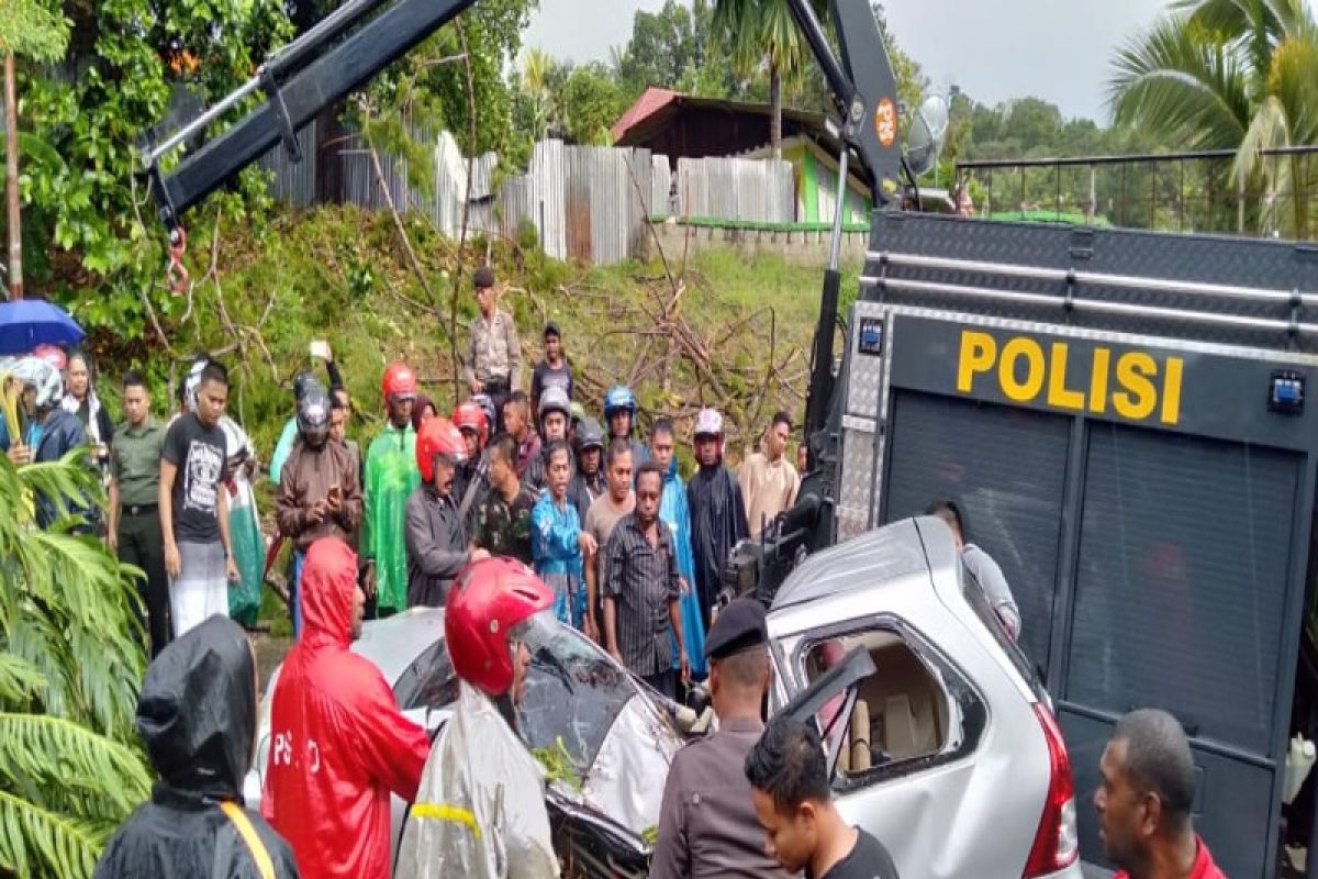 Anggota Polda Papua tewas tertimpa pohon