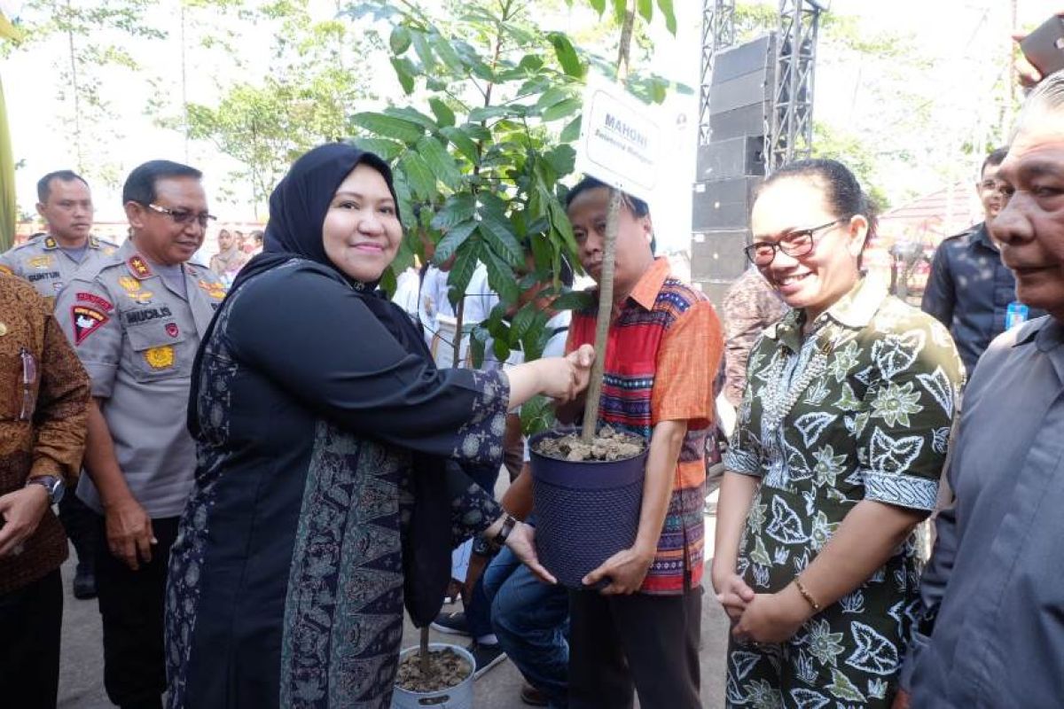 Bupati Masnah dukung program penanaman 25 pohon seumur hidup