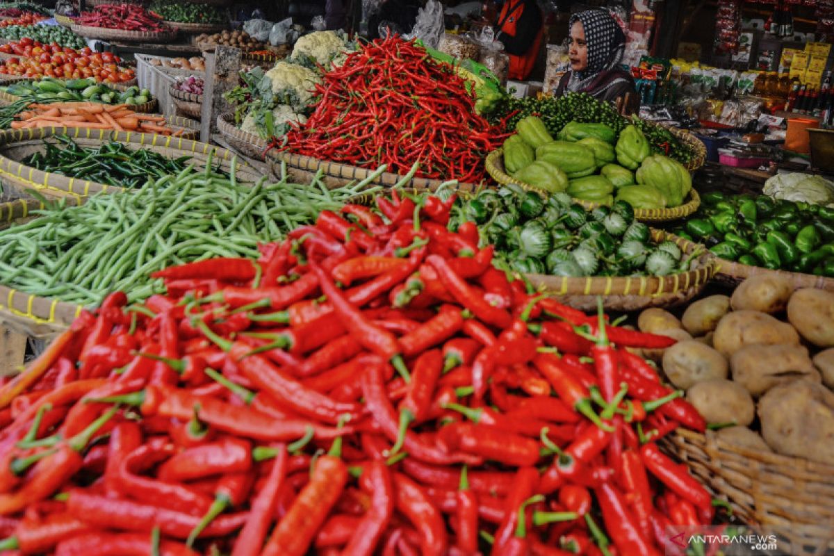 Harga sayur di Agam naik karena hujan