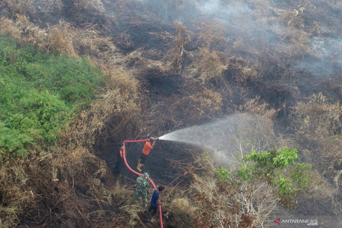 Titik kebakaran lahan di Aceh Barat semakin bertambah akibat kemarau