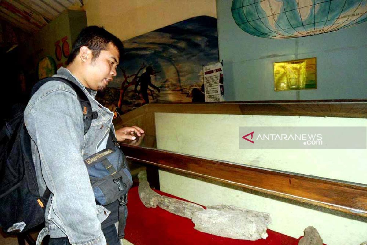 Pengunjung Museum Trinil Ngawi meningkat