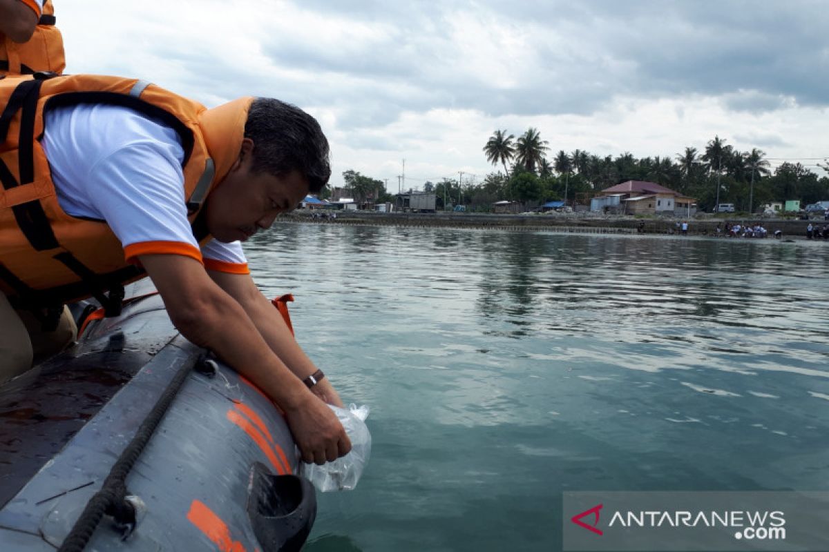 BKIPM lepas berbagai spesies ikan di Teluk Palu